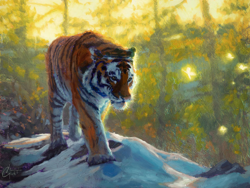 Exploring the Wild by Christopher Clark