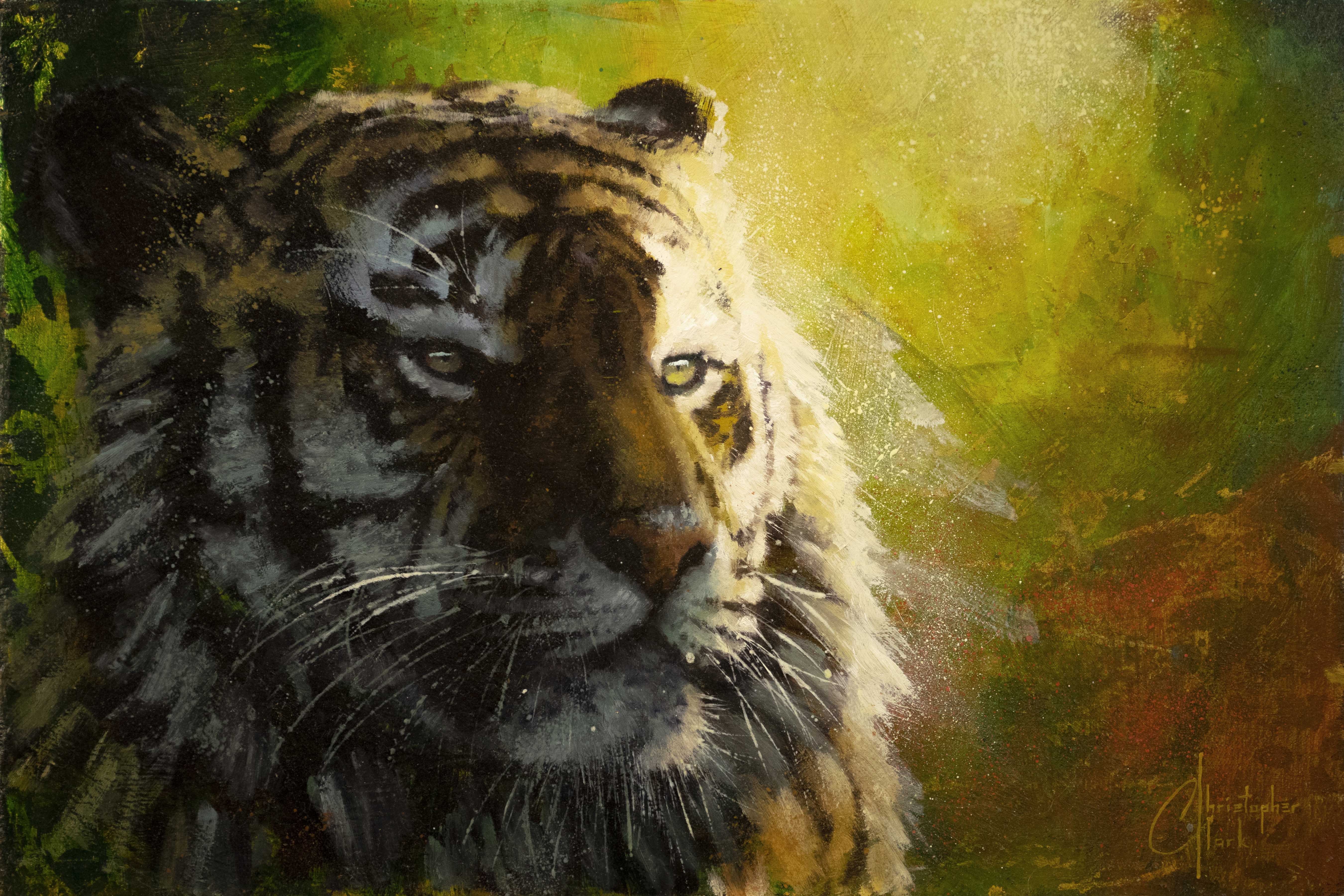 Tigers Light by Christopher Clark